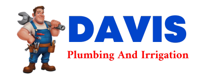 Trusted plumber in LITCHVILLE